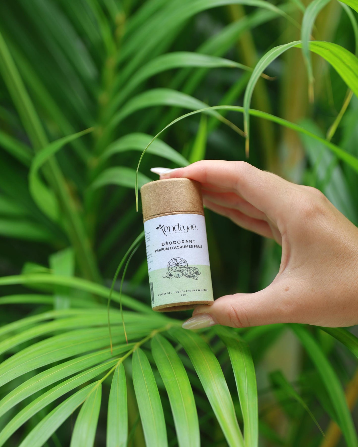 Matin d'agrumes | Déodorant parfum agrumes frais